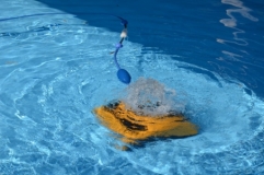 Robot-per-piscine-Pulitore-Maytronics-Dolphin-W20 - Img 3